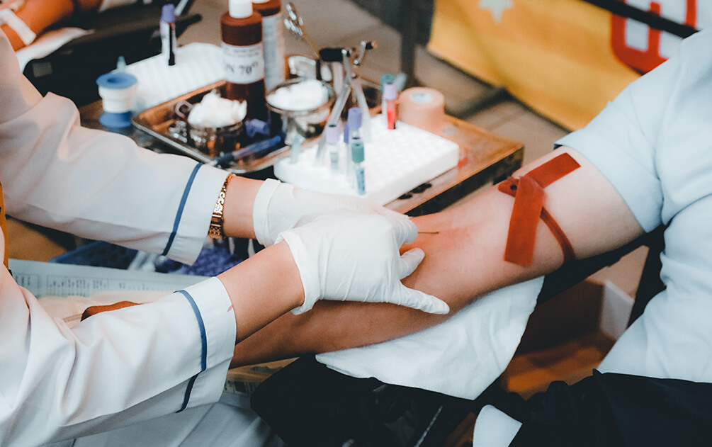 Howard Hughes Medical Institute News